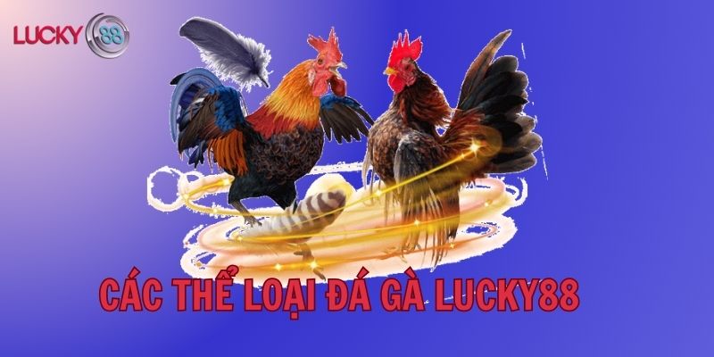 Những thể loại đá gà nào có mặt tại Lucky88? 