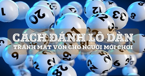 Hướng dẫn cách cầu dàn đề nuôi tuần hiệu quả