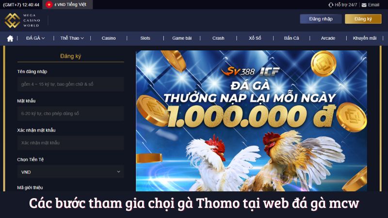 Các bước tham gia chọi gà Thomo tại web đá gà mcw